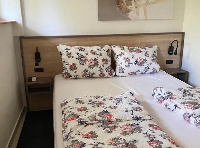 Erhart * Ρόβινι